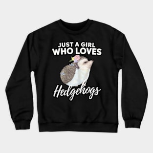 Just A Girl Who Loves Hedgehogs Animal Lover Gift Crewneck Sweatshirt